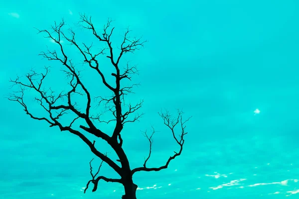 Mavi vintage ağaç silueti manzara