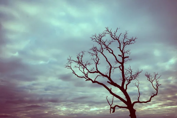 Klasik ağaç silueti manzara arkaplanı