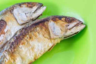 Yeşil diskte balık kızartma yan görünümü / uskumru kızartması