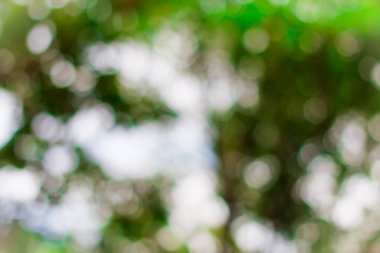 Soyut dairesel koyu yeşil bokeh arkaplanı