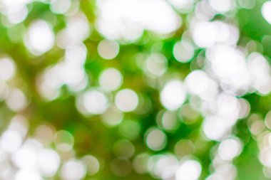 Soyut dairesel koyu yeşil bokeh arkaplanı