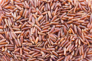 kahverengi pirinç yakın plan