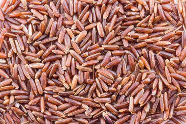 kahverengi pirinç yakın plan