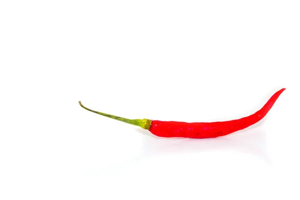 Red Hot Chili Pepper Isolated White Background — Stock Photo, Image