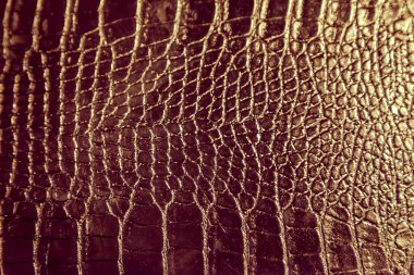 yılan derisi siyah renkli