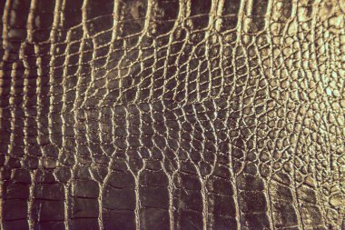 yılan derisi siyah renkli