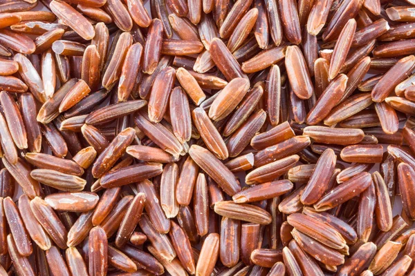 Macro Close Brown Rice Background — Stock Photo, Image