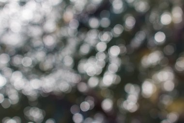 Bokeh ışık arkaplanını özetle