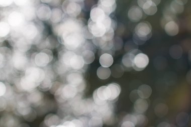 Bokeh ışık arkaplanını özetle