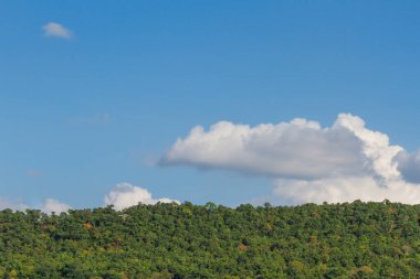 Ağaçlar ve mavi gökyüzü