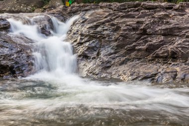 Orman şelalesi doğa geçmişi