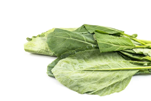Fresh Green Kale White Background — Stock Photo, Image