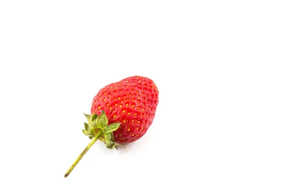 Petite Fraise Sur Fond Blanc — Photo