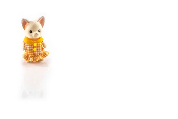 Brown Girl Teddy Bear Isolated White Background — Stock Photo, Image