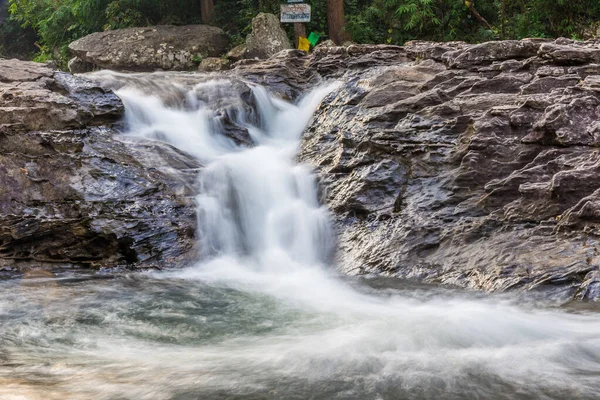 Foresta Cascata Natura Sfondo — Foto Stock