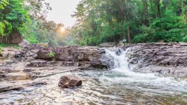 Gün batımında orman şelalesi, Doğa