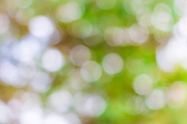 Renkli açık yeşil bokeh arkaplanı