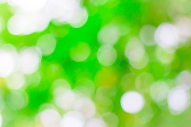 Renkli açık yeşil bokeh arkaplanı