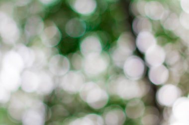 Renkli açık yeşil bokeh arkaplanı