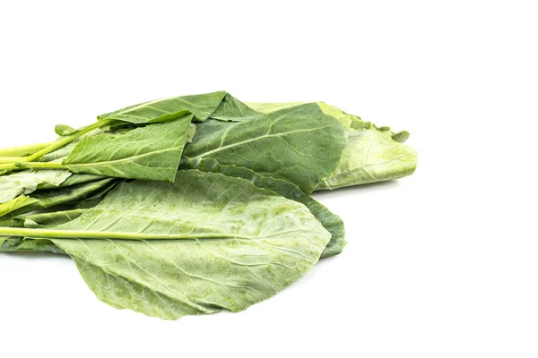 Fresh Green Kale White Background — Stock Photo, Image