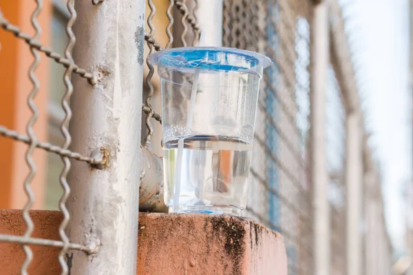 Plastic cups with water on the wall of fence or barrier made of rails