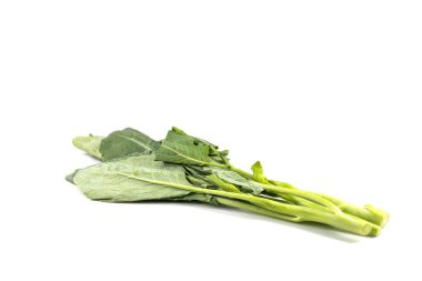 Beyaz arka planda taze yeşil lahana.