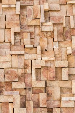 Arkaplan için ağaç gövdesinin ahşap dokusunu kapat