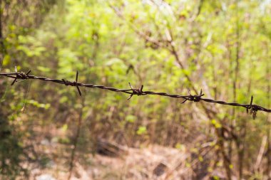 Siyah zemin için paslı ve yeşil çitli dikenli tel.