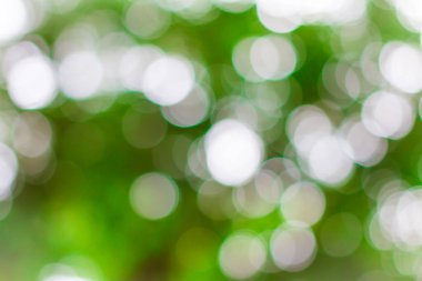 Renkli açık yeşil bokeh arkaplanı