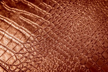 yılan derisi siyah renkli