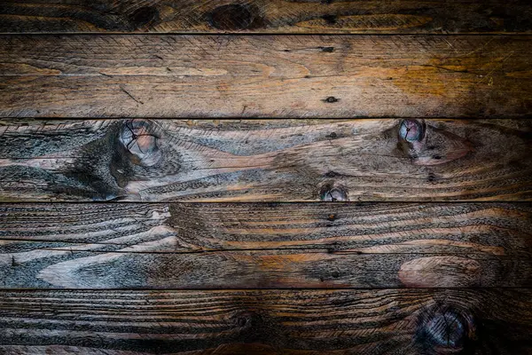Staré Dřevo Textury Pozadí Staré Panely — Stock fotografie