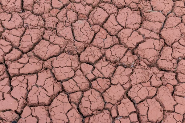 干裂土质背景 — 图库照片