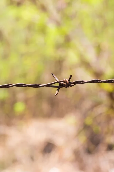 Barbed Wire Fence Rust Green Bokeh Blackground — Stock Photo, Image