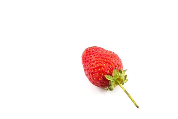 Piccola Fragola Sfondo Bianco — Foto Stock