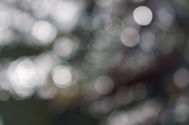 Bokeh ışık arkaplanını özetle