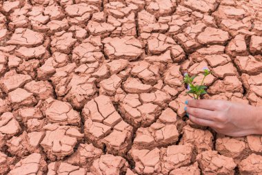 Dünya 'ya yardım etmek için yeryüzündeki çiçek bahçesiyle uğraşan insanlar.