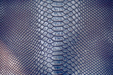 kaş yılan derisi desen arkaplan