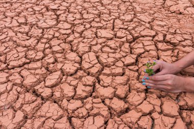 Dünya 'ya yardım etmek için yeryüzündeki çiçek bahçesiyle uğraşan insanlar.