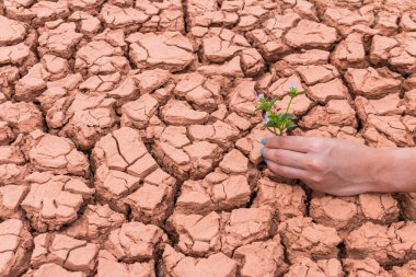 Dünya 'ya yardım etmek için yeryüzündeki çiçek bahçesiyle uğraşan insanlar.