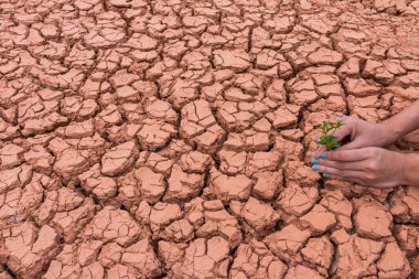 Dünya 'ya yardım etmek için yeryüzündeki çiçek bahçesiyle uğraşan insanlar.