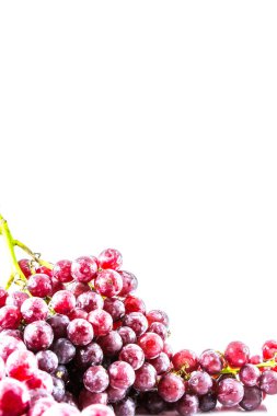 beyaz arkaplanda kırmızı üzüm