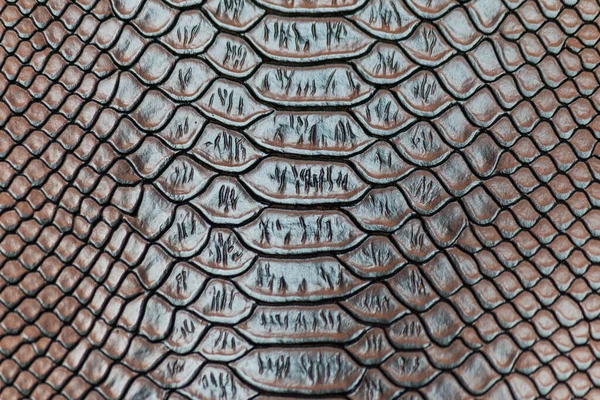 Brow Snakeskin Pattern Texture Background — Stock Photo, Image