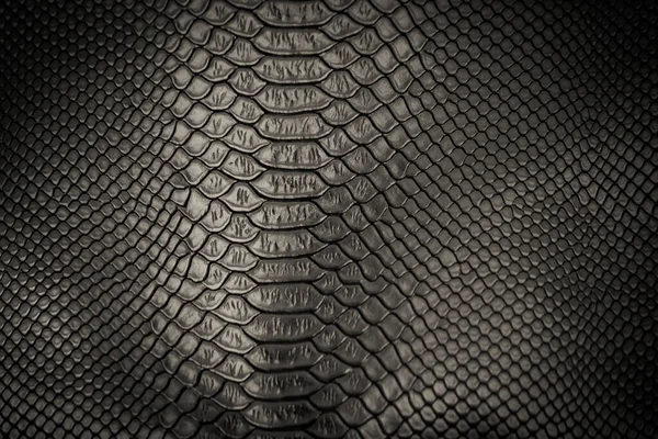 siyah yılan derisi desen arkaplan