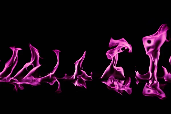 Рожевий Вогонь Чорному Тлі — стокове фото