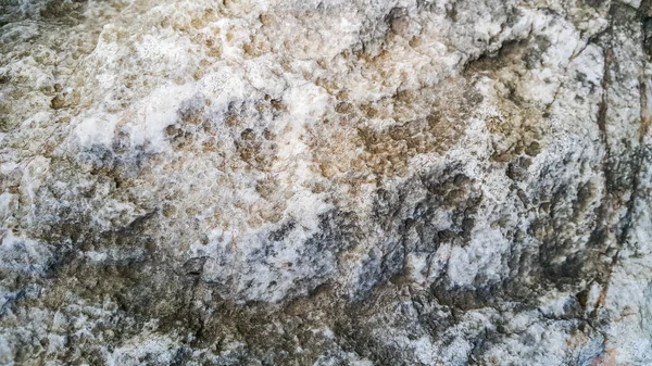 Textura Piedra Blanca Sucia Para Fondo — Foto de Stock