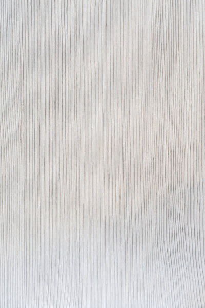 white wood texture pattern background