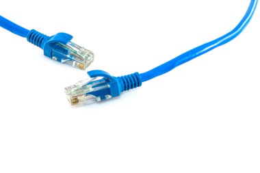 Mavi Ağ internet kablosu beyaz arkaplanda izole edildi