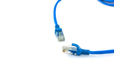 Mavi Ağ internet kablosu beyaz arkaplanda izole edildi