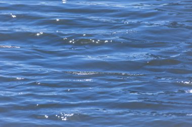 Su arkaplanındaki yansımalardaki mavi ve beyaz renk desenleri