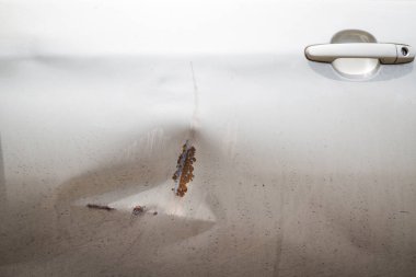 Araba altın kapısına çarpıyor. Roy paslanana kadar gitti..